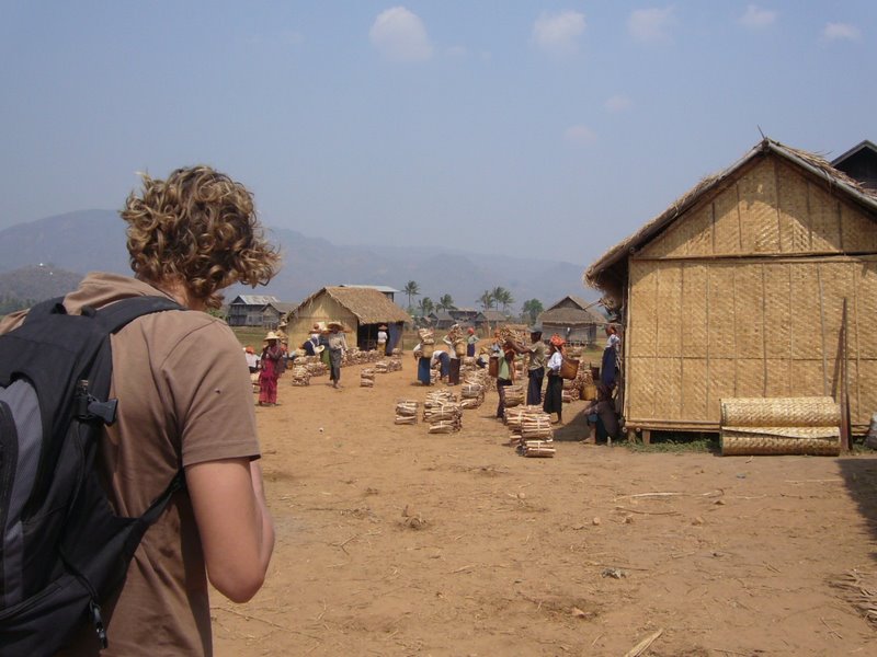 Firewood is sold here by the bundle.